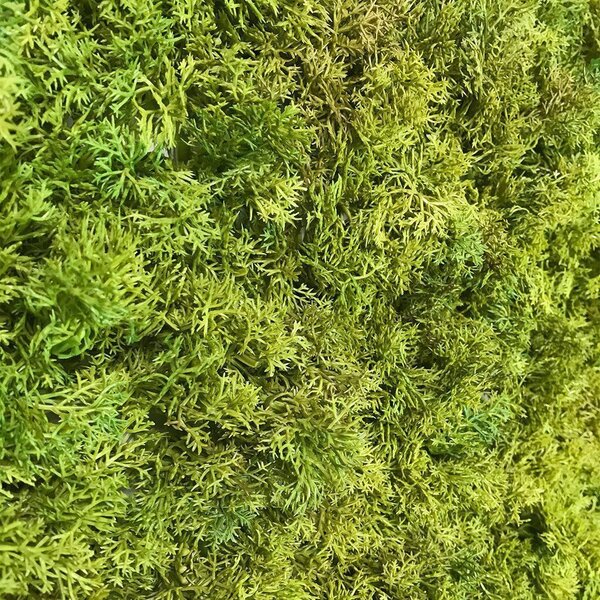 Искусственная панель MOSS by Green Walls